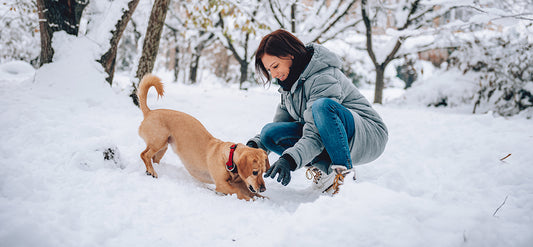 New Year Savings: Freeze-Dried Double Point Days