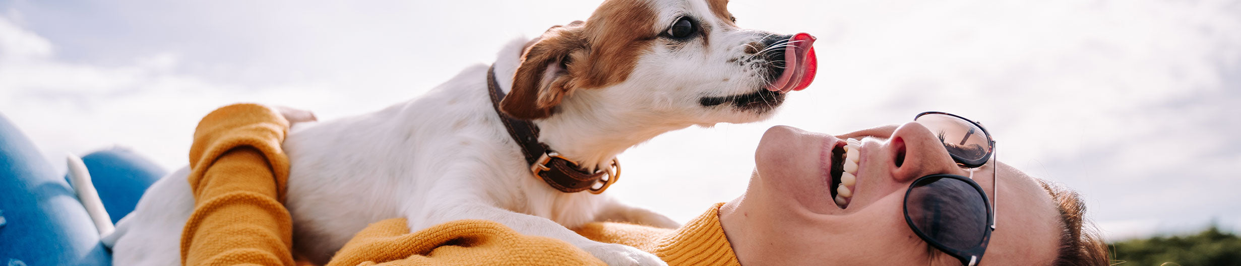 Hypoallergenic Dog Foods from Muenster Pet