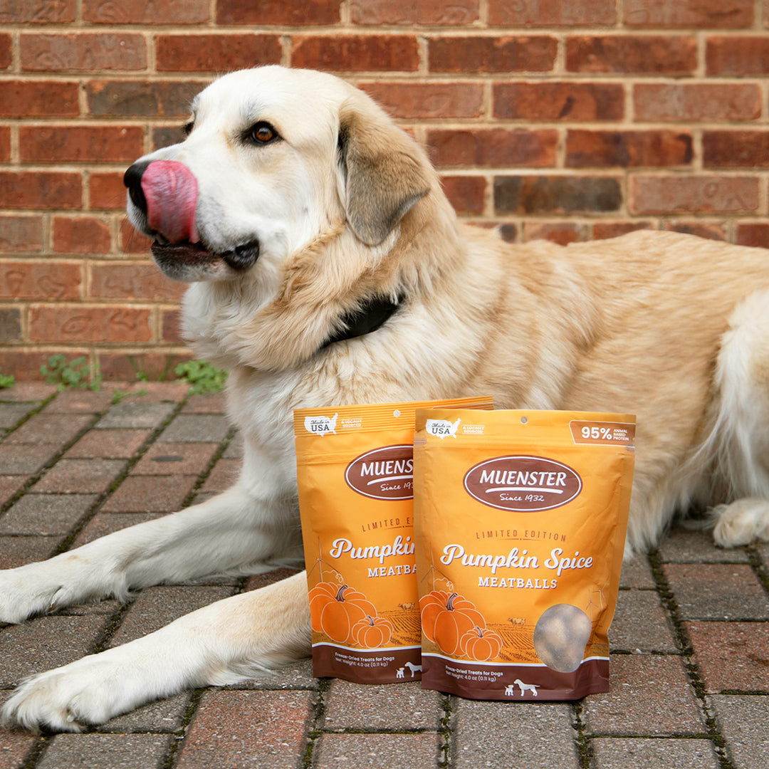Can't stop drooling over these pumpkin spice treats!