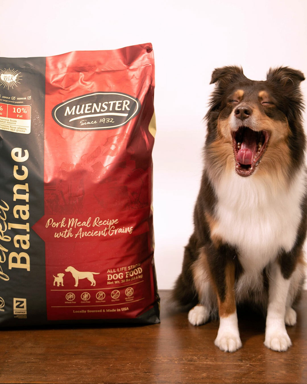 Dog with Muenster Perfect Balance dog food bag