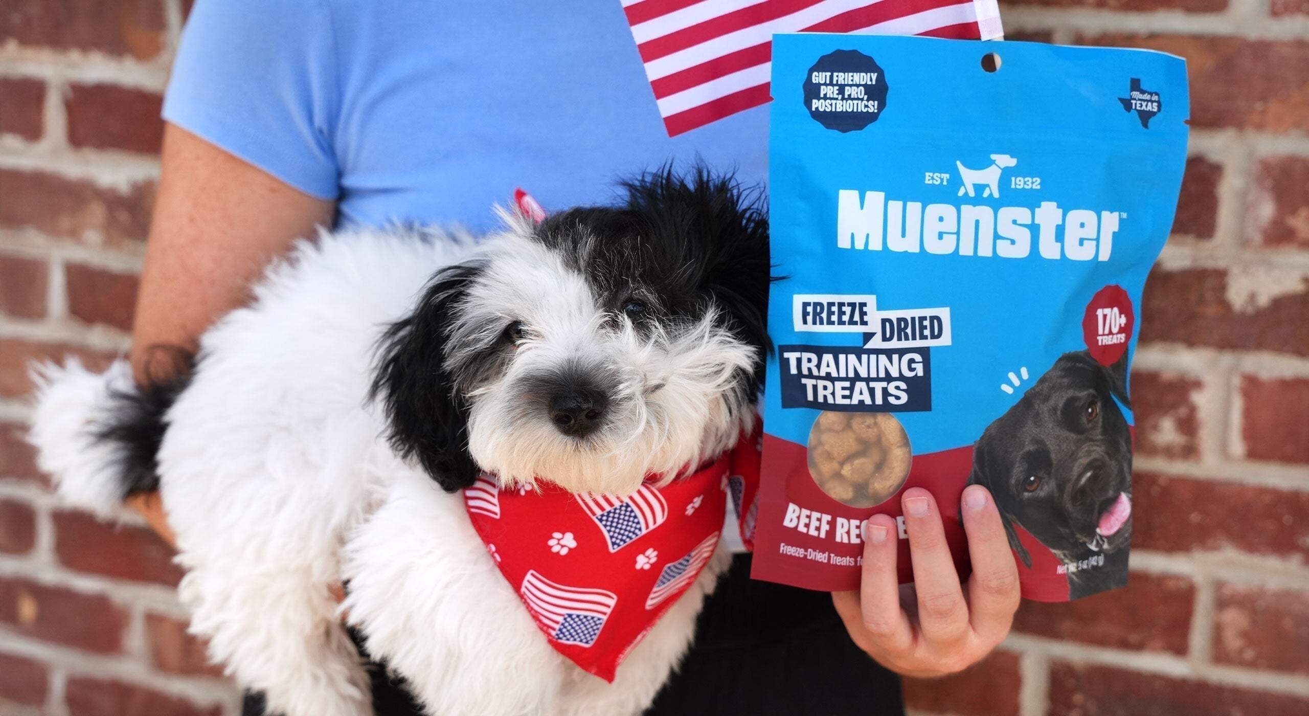 How to Choose the Right Dog Food for Your Puppy