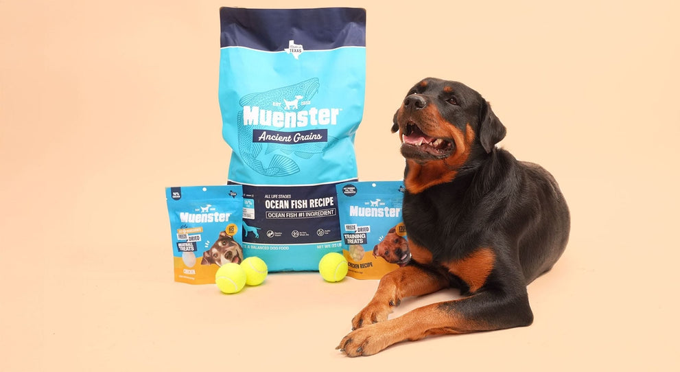 Affordable Alternatives to the Farmer's Dog