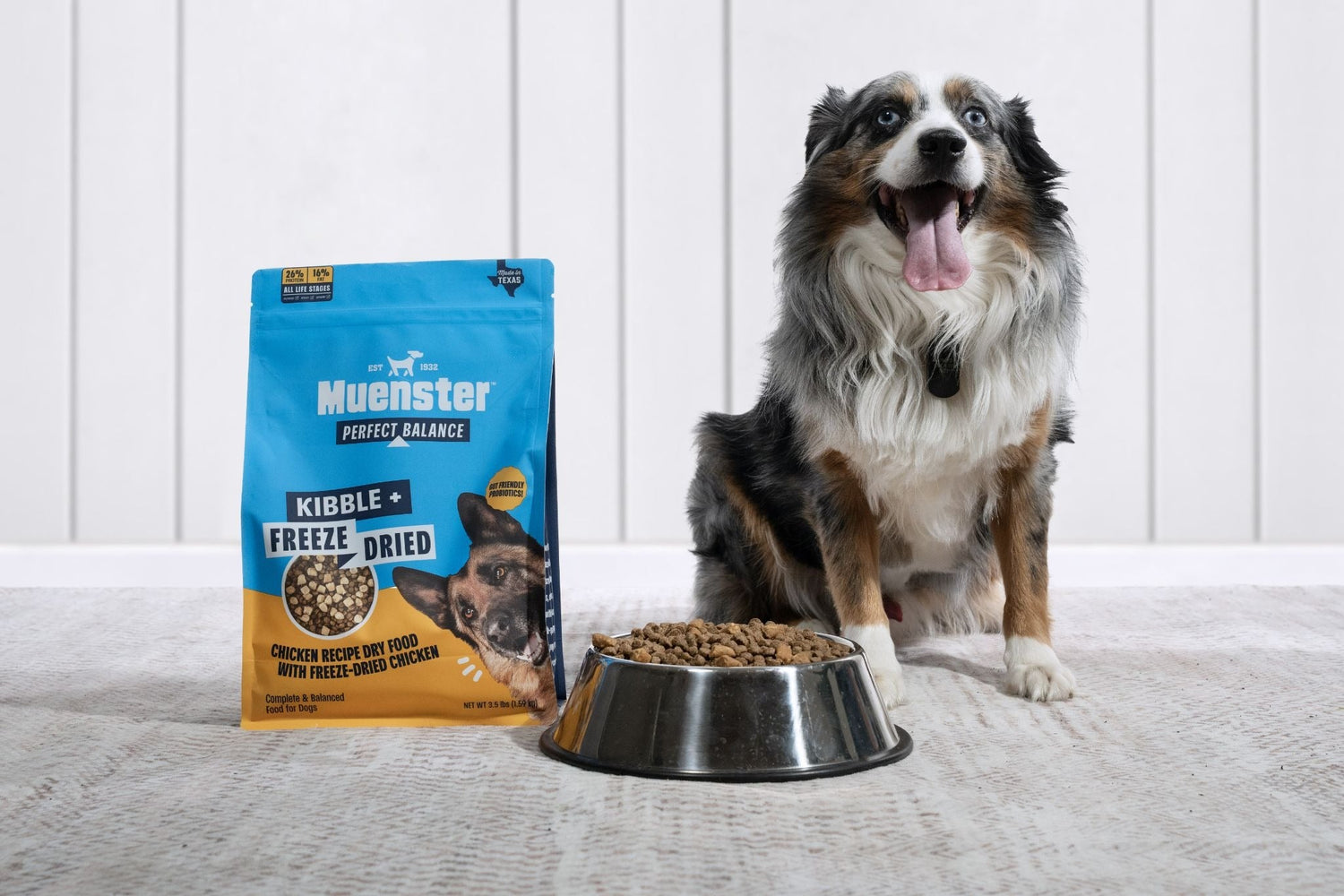 Ancient Grains vs. Grain-Free Dog Food