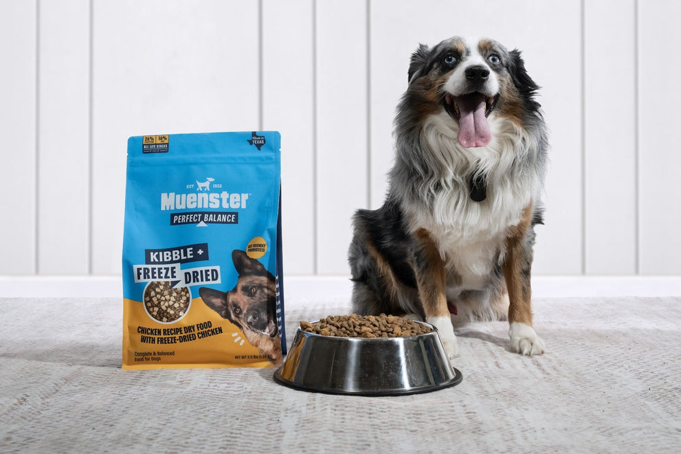Ancient Grains vs. Grain-Free Dog Food