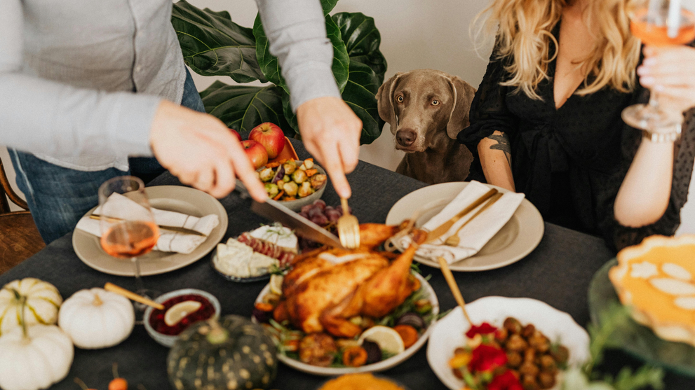 Can Dogs Eat Turkey?