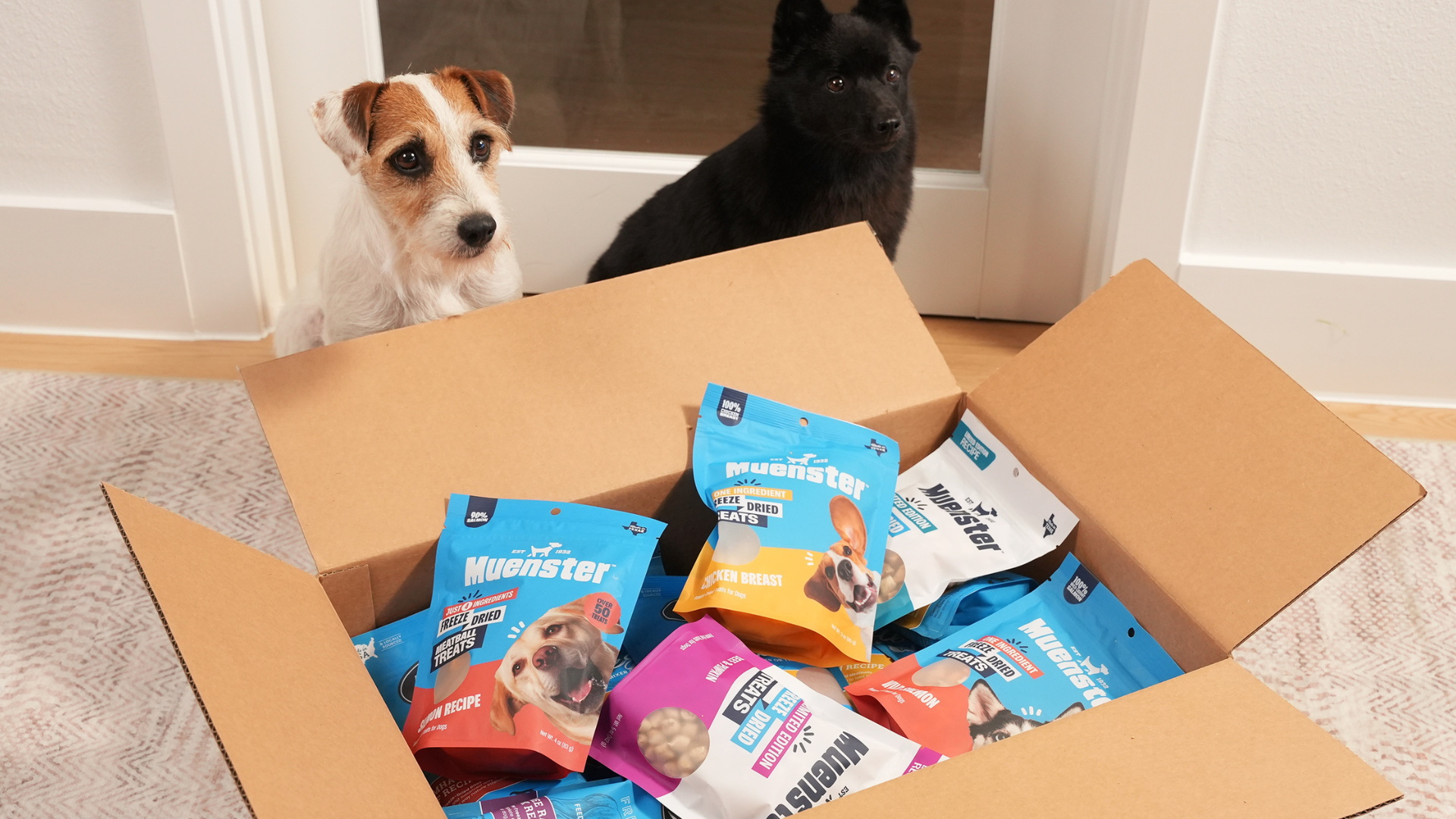 Freeze-Dried Dog Foods Ranked On Ingredient Quality