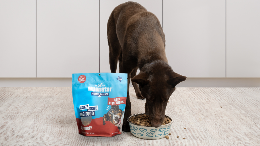 How To Feed Freeze Dried Dog Food