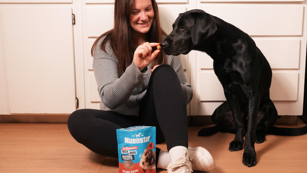 How To Rotate Dog Food Proteins