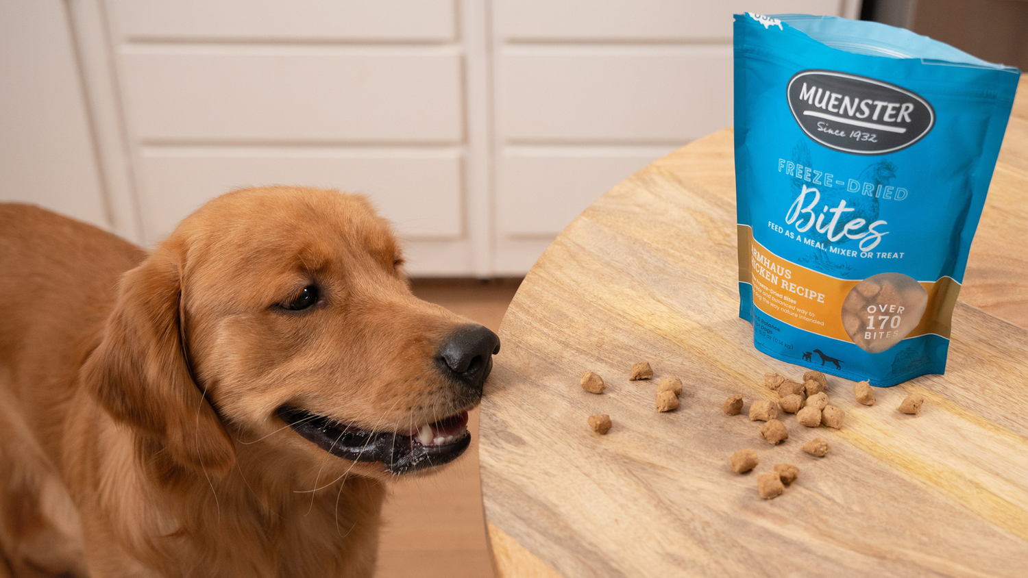 How To Transition Dog To Freeze Dried Food
