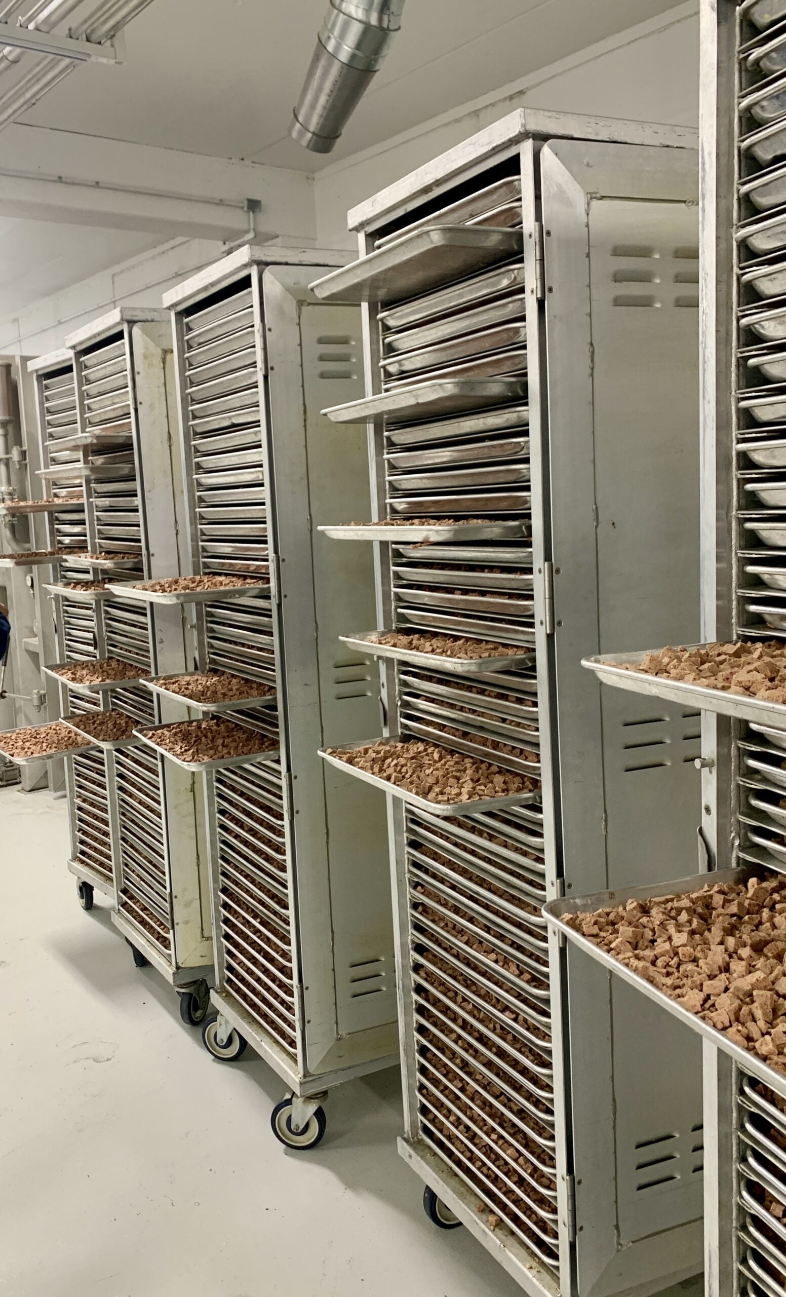 Freeze Dried Dog Food