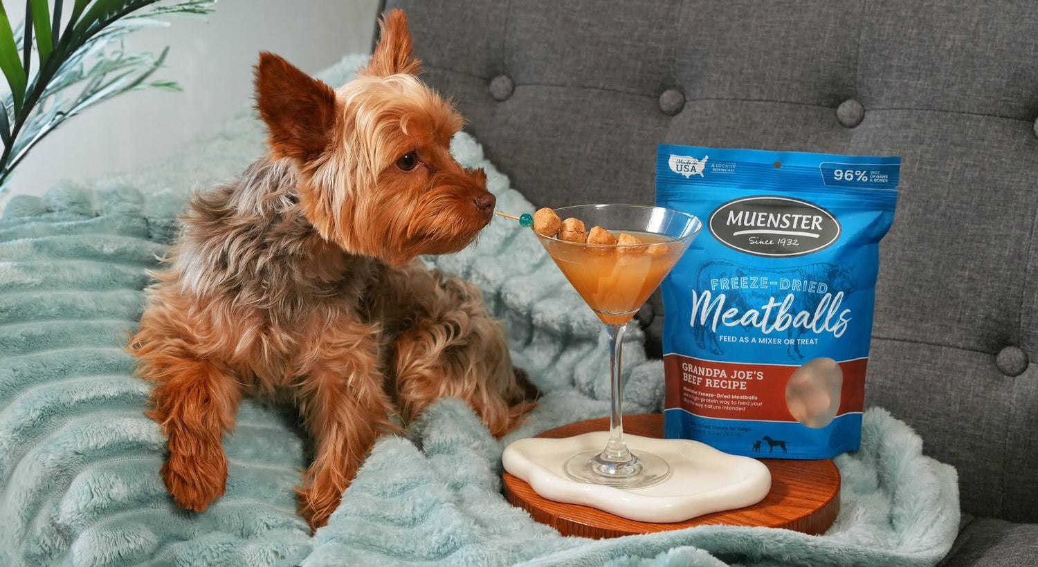 Introduce New Proteins To A Chicken-Allergic Dog With Healthy Feeding Swaps