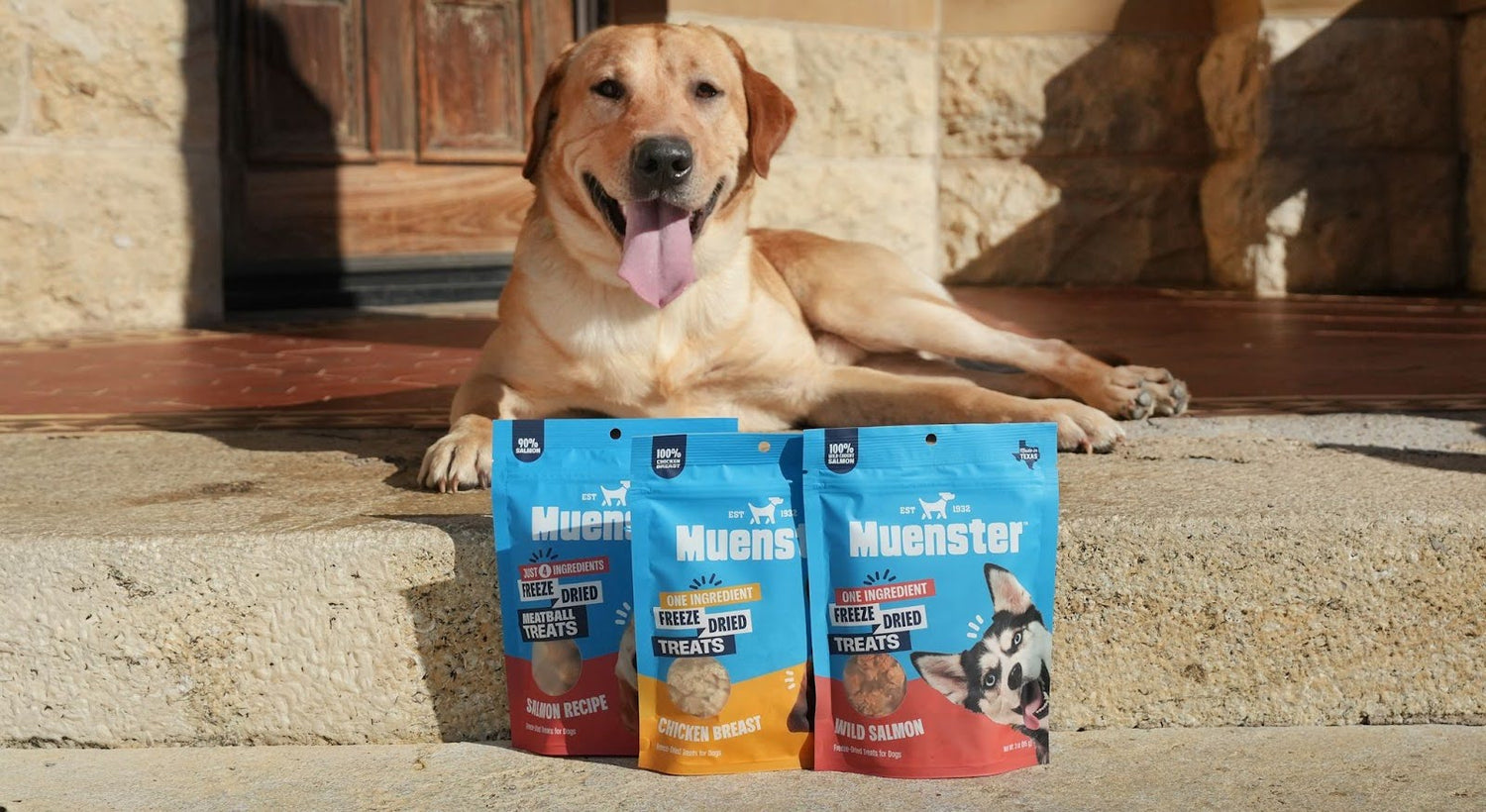 Lab Laying on a Patio In Front Of Three Bags Of Muenster Food