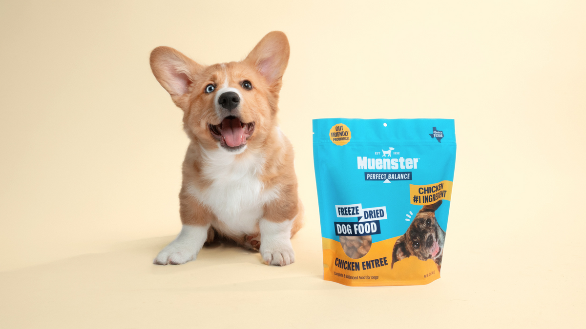 Learning About How Long To Feed Puppy Food