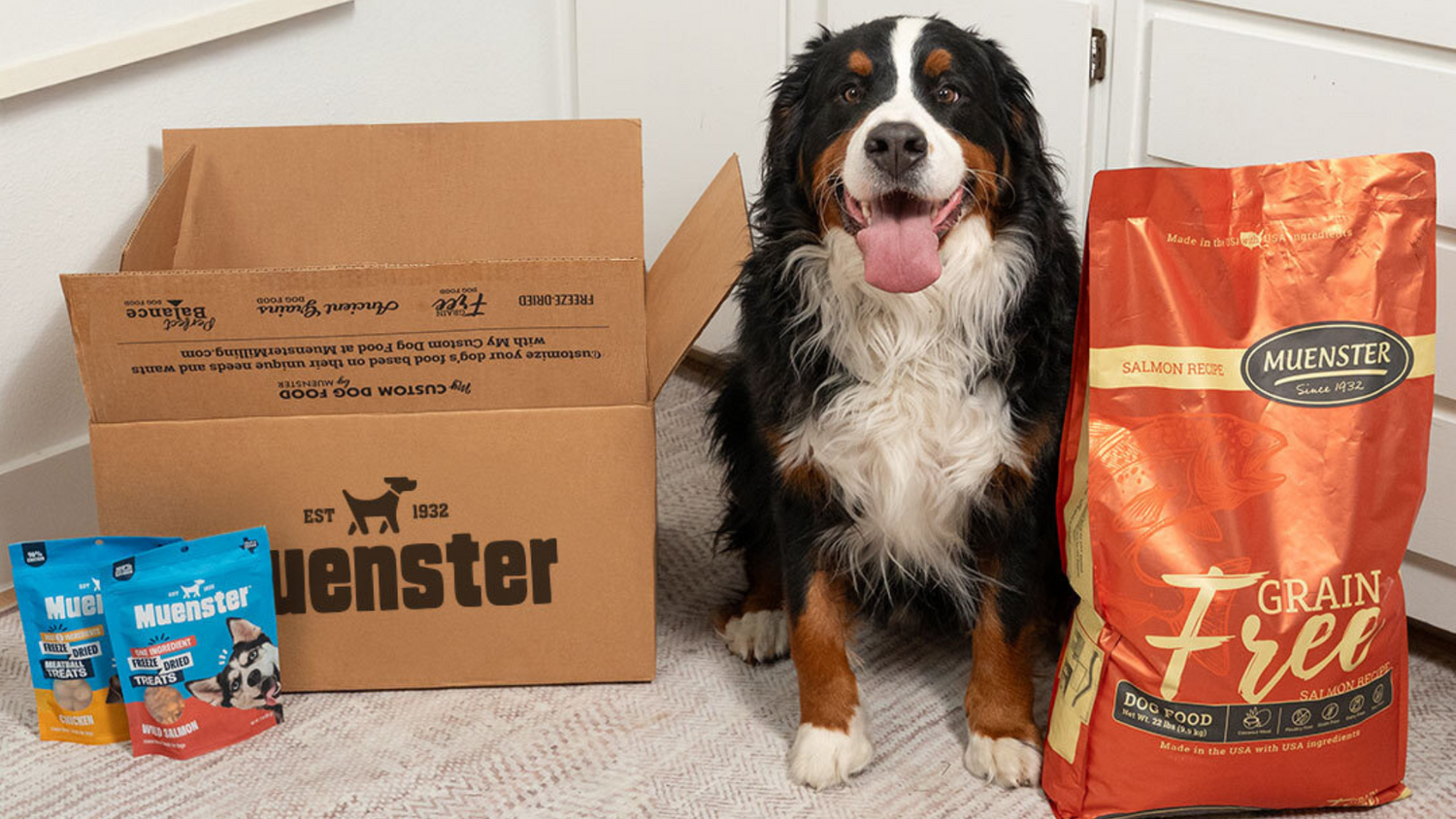 Grain Free Dog Food: Formulas and Proteins
