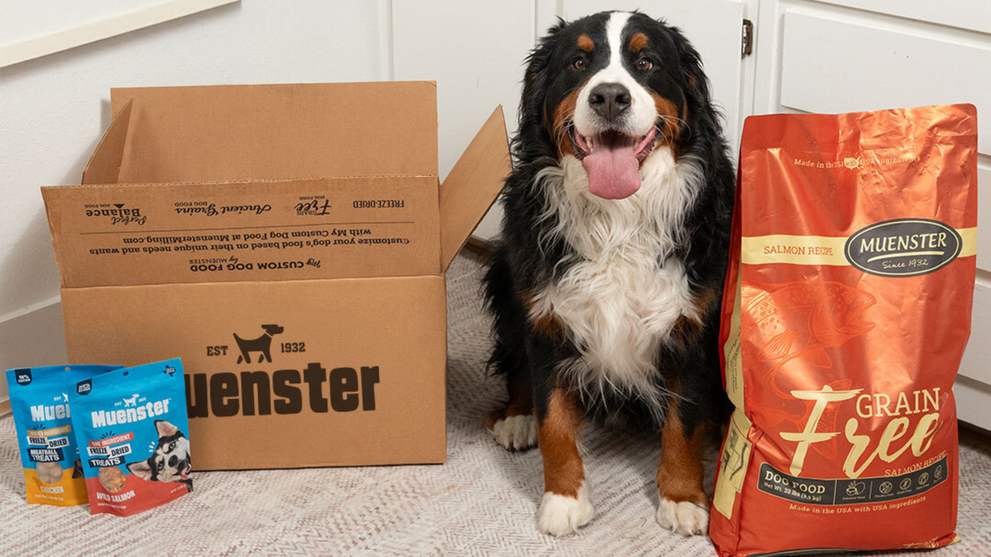 Grain Free Dog Food: Formulas and Proteins