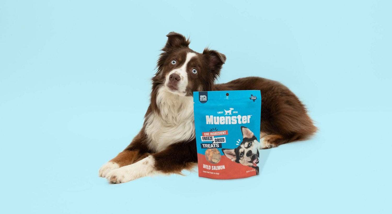 Muenster’s Wild Salmon Freeze Dried Treats