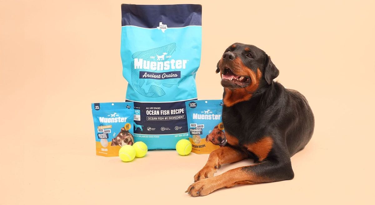 Natural Dog Food