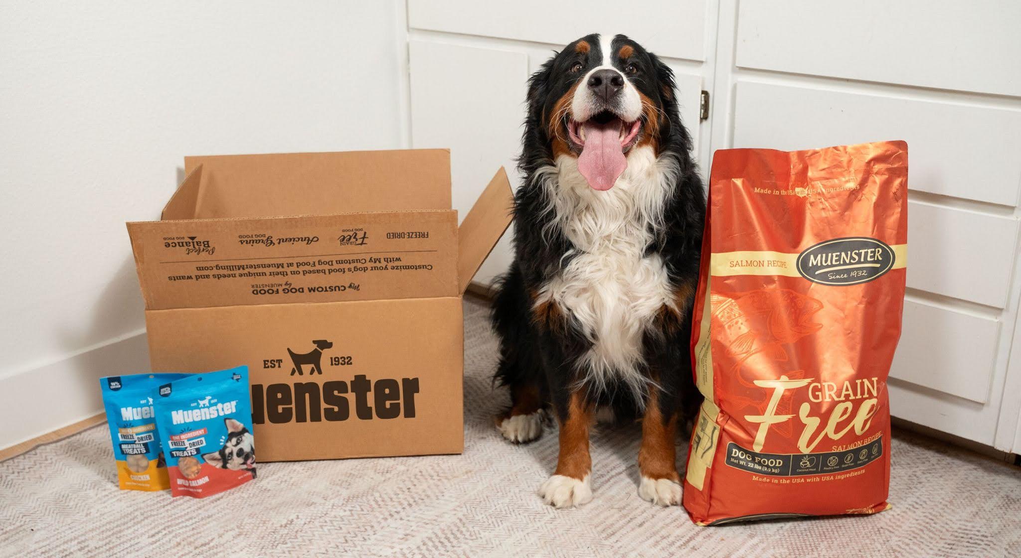 Shopping For The Best Salmon Dog Food