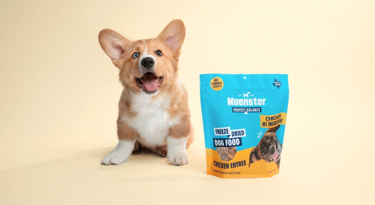 Vet Recommended Dog Food