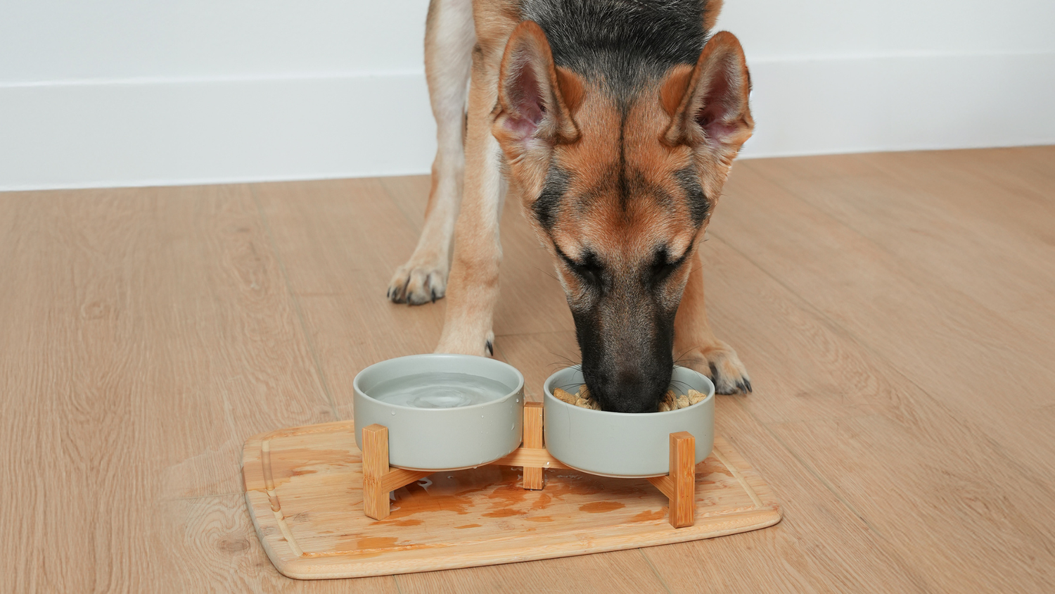 Why Do Some Vets Recommend Grain-Free Diets? Find The Right Food For Your Dog Today