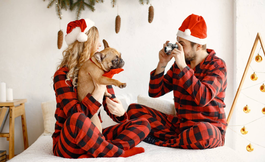 The Pet Perfect Holiday: Tips for Including Your Pets in Family Festivities