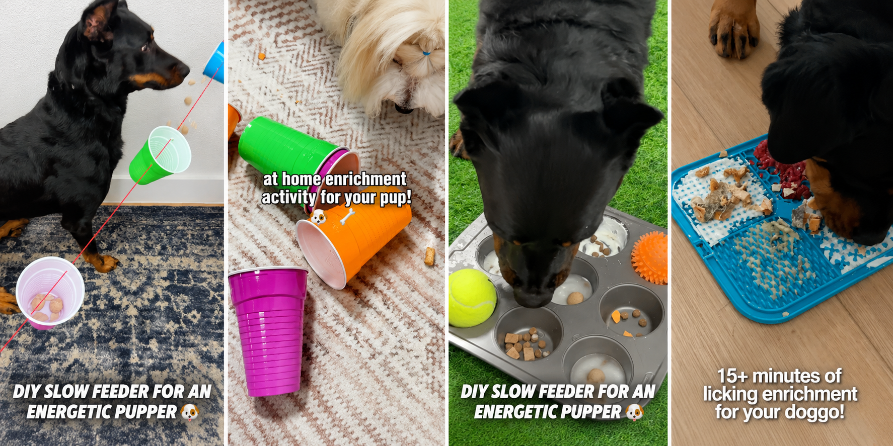 Dog Boredom Busters: 15 Easy Enrichment Activities