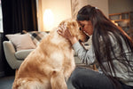 Feb 3rd: Making Your Doggy Date Night Extra Special