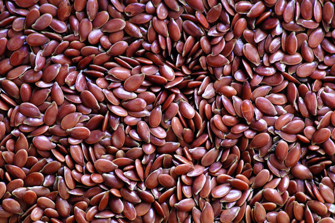 flaxseed horse food nutrition