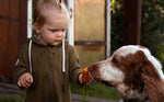 toddler girl feeding dog a carrot - a safe human food