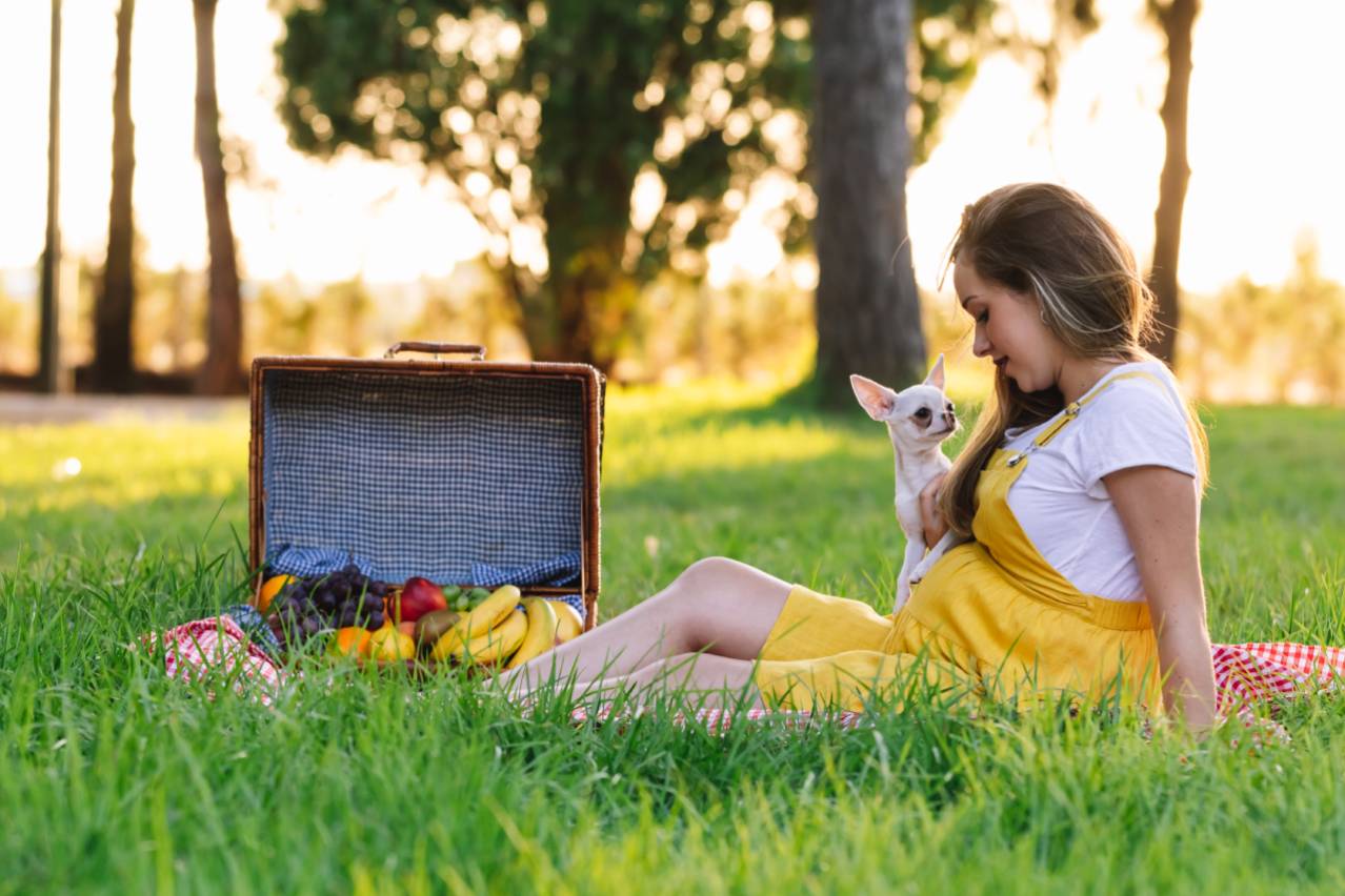 picnic with dog - summer fruit ok for dogs?