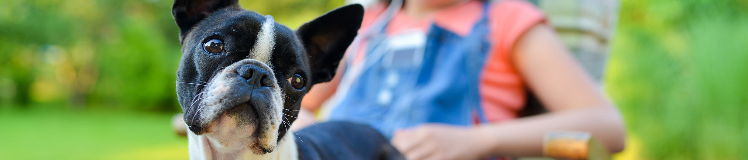 Kibble + Freeze-Dried Food