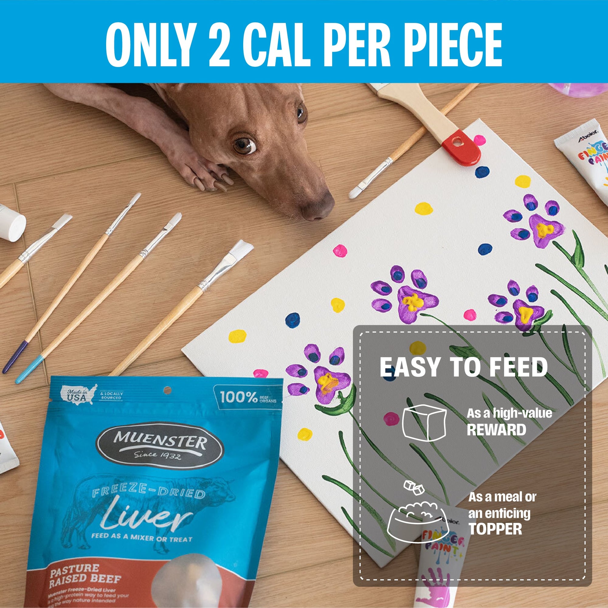Freeze-Dried All-Beef Liver Treats