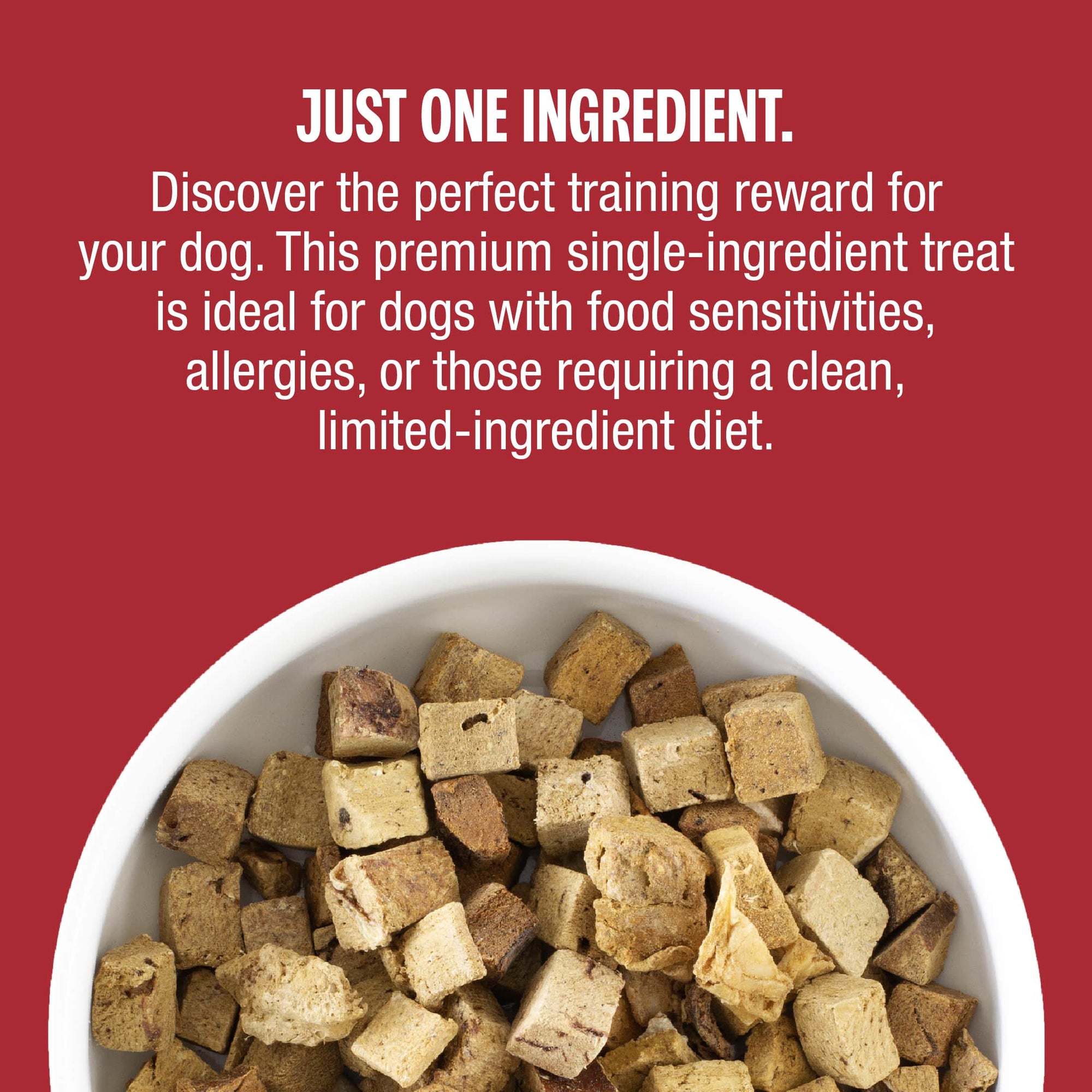 Freeze-Dried All-Beef Liver Treats