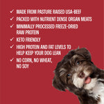 Beef Liver One Ingredient Freeze-Dried Dog Treats, 3 oz bag