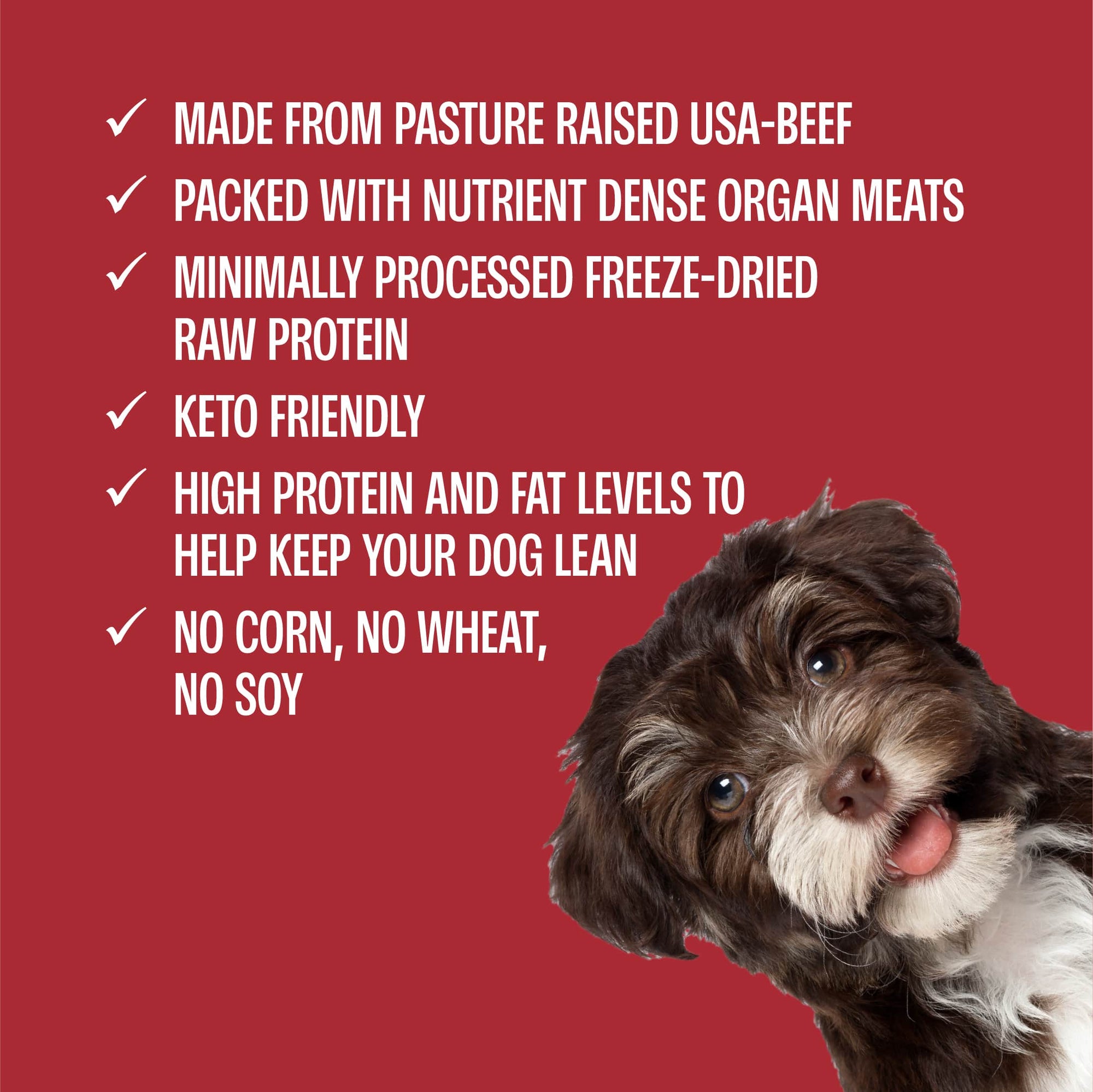 Freeze-Dried All-Beef Liver Treats