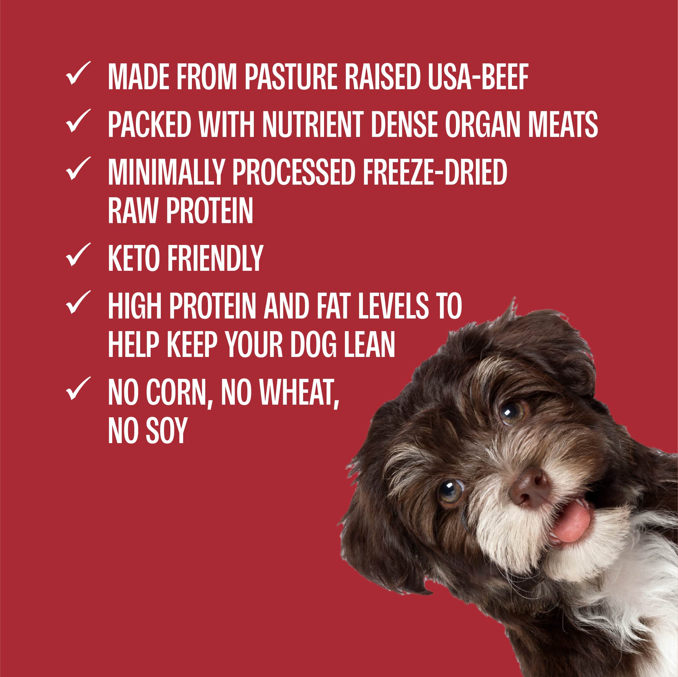 Freeze-Dried All-Beef Liver Treats