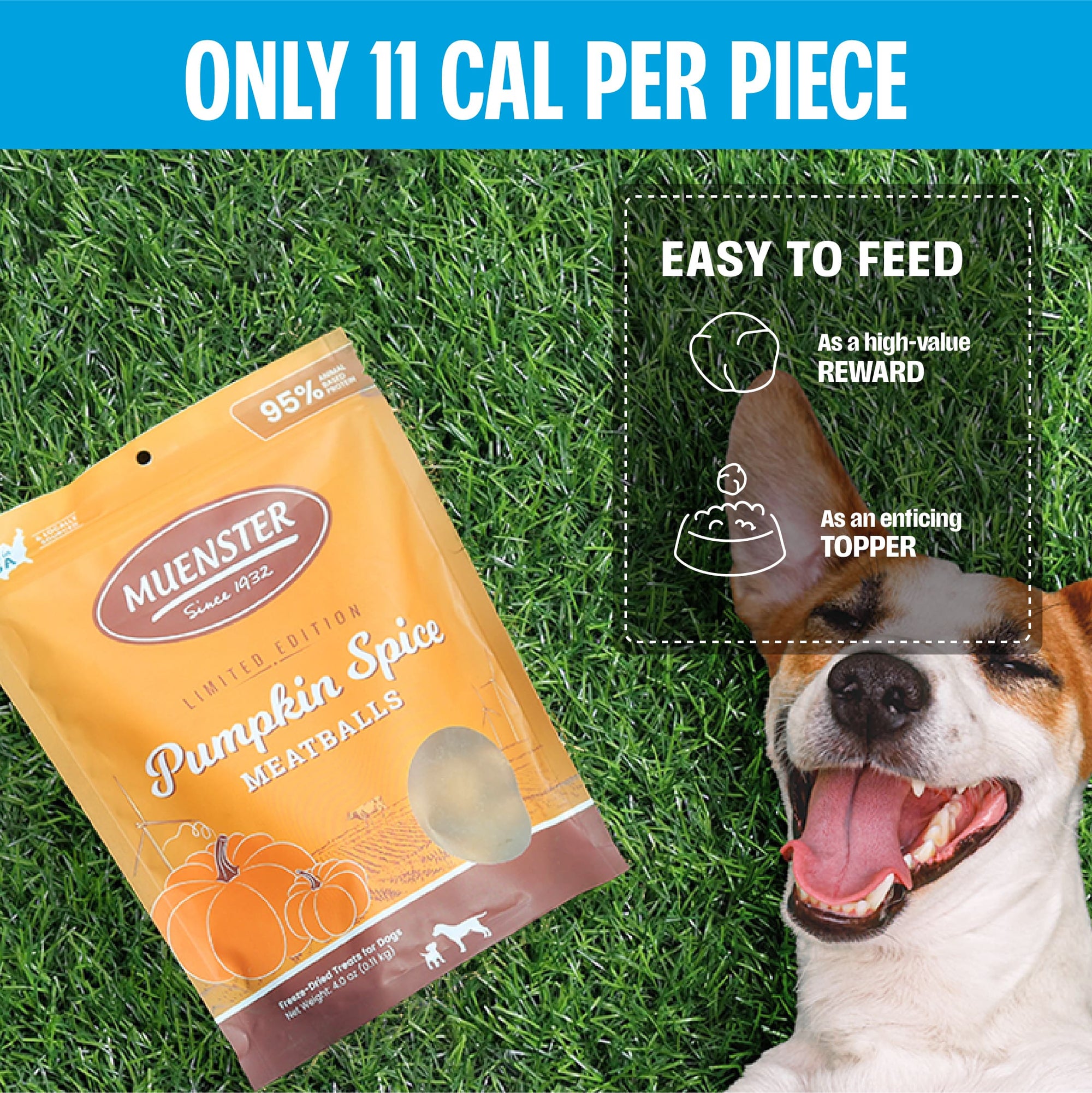 Freeze-Dried Pumpkin Spice Meatballs Dog Treats