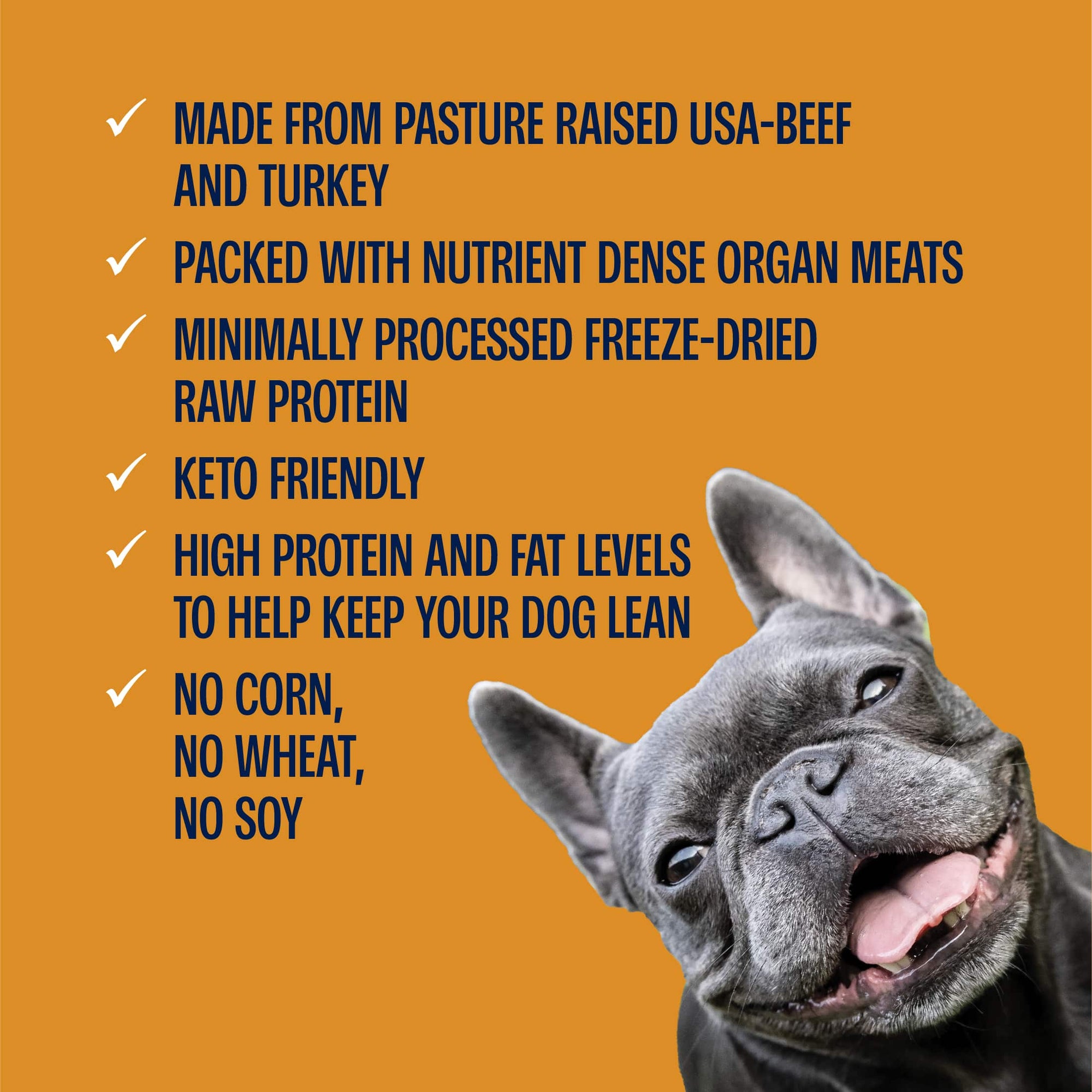 Freeze-Dried Pumpkin Spice Meatballs Dog Treats