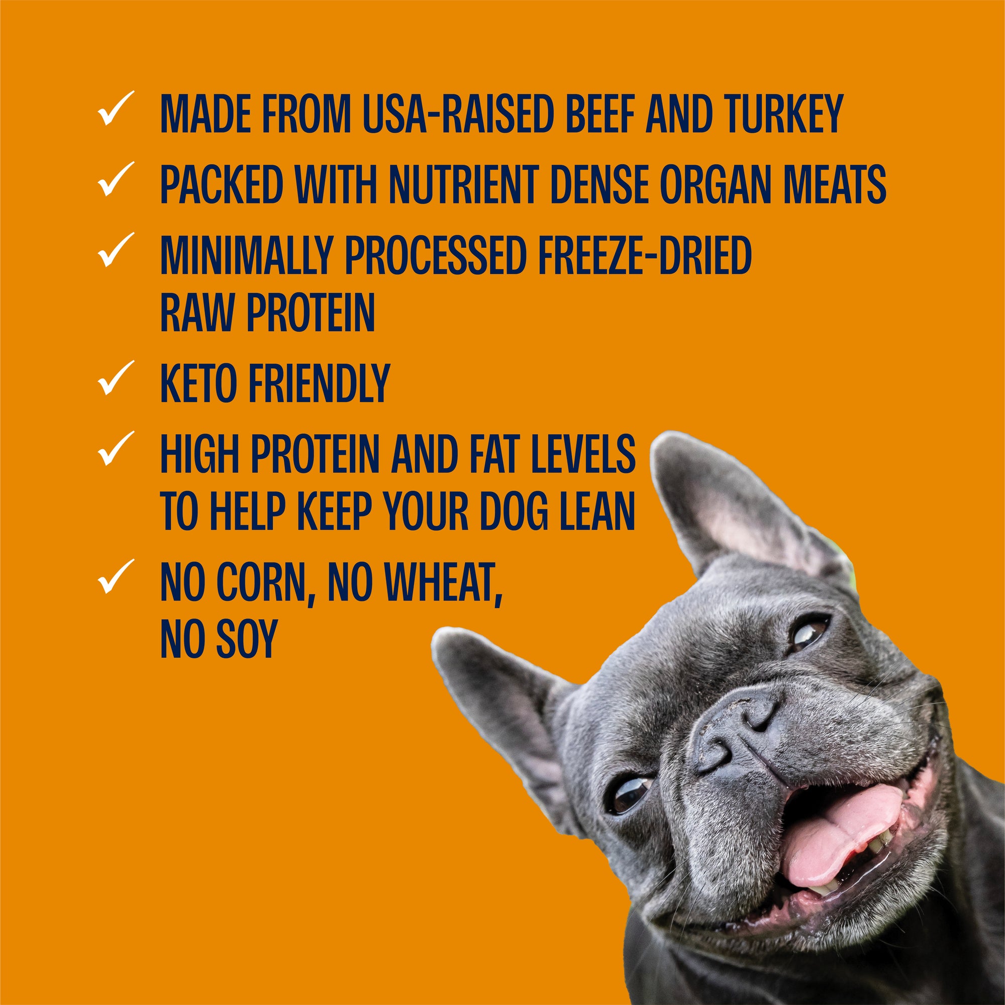 Freeze-Dried Pumpkin Spice Meatballs Dog Treats