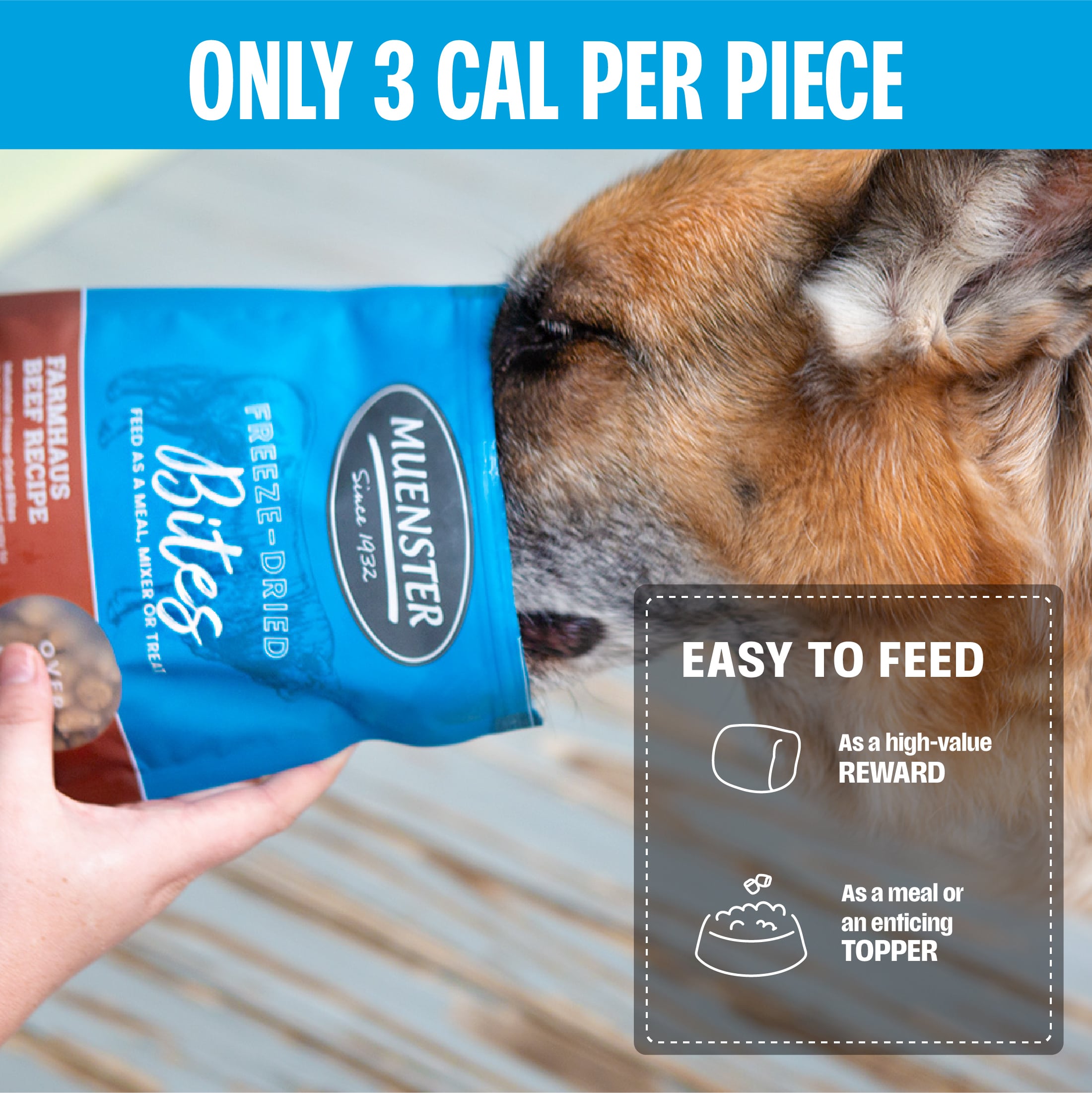 Muenster Pet Beef Bites Treat