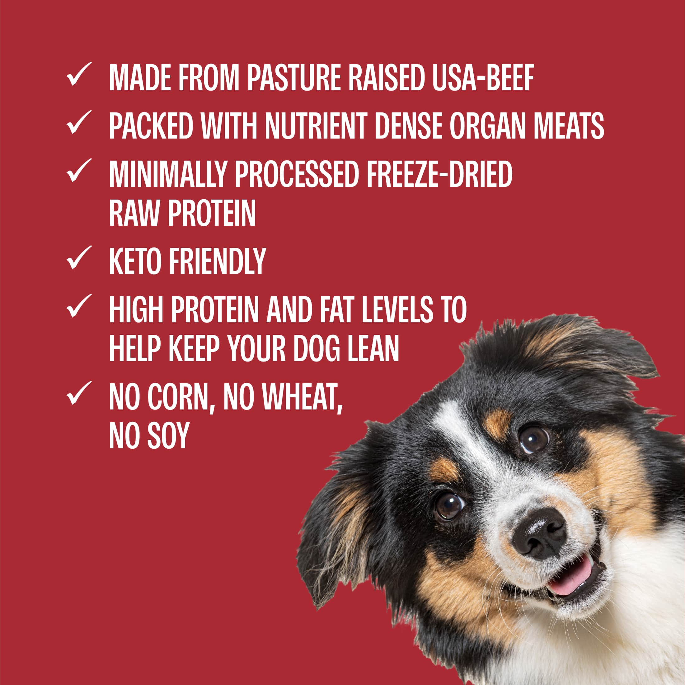 Muenster Pet Beef Bites Treat