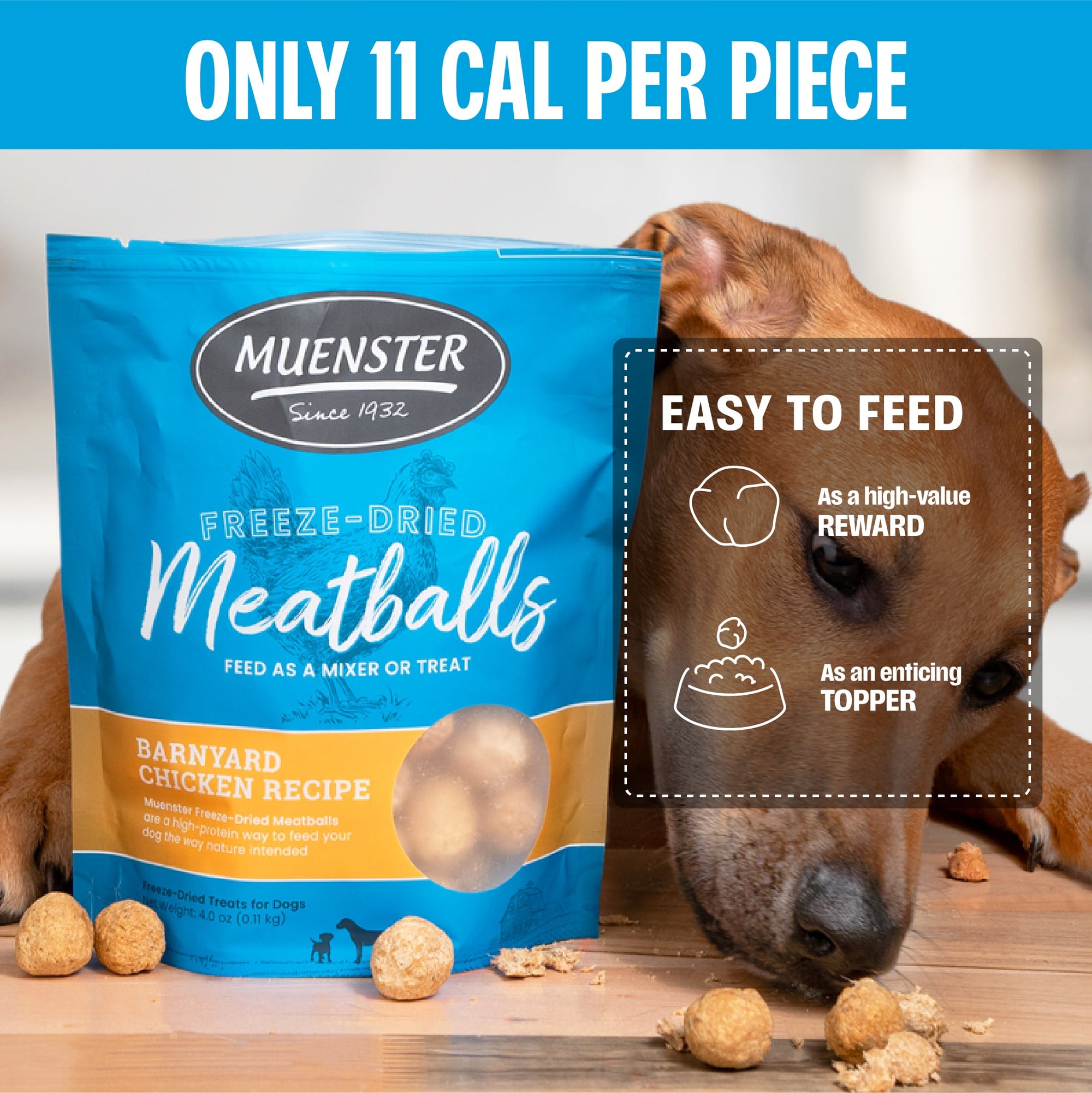Freeze-Dried Chicken Meatballs Dog Treats