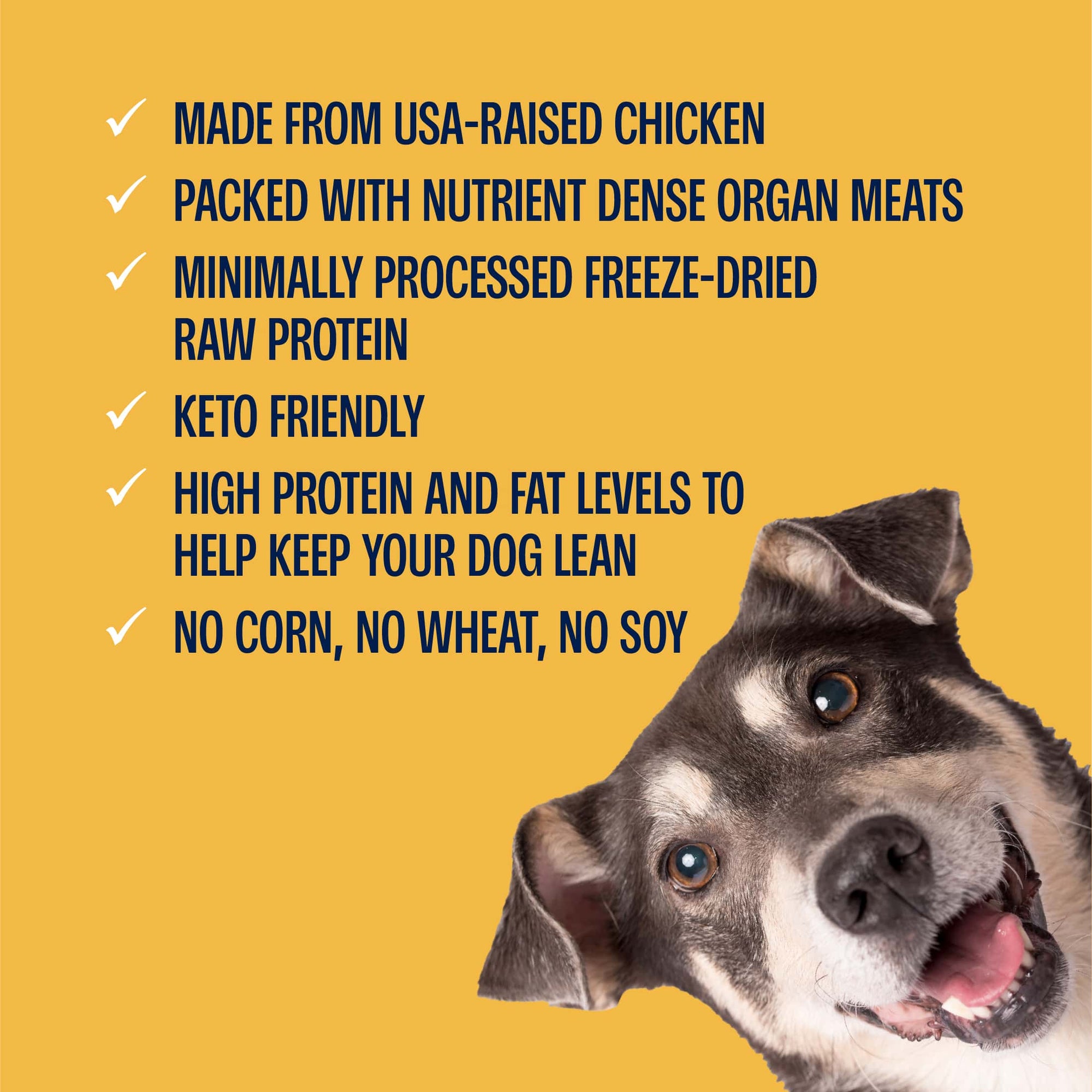 Freeze-Dried Chicken Meatballs Dog Treats