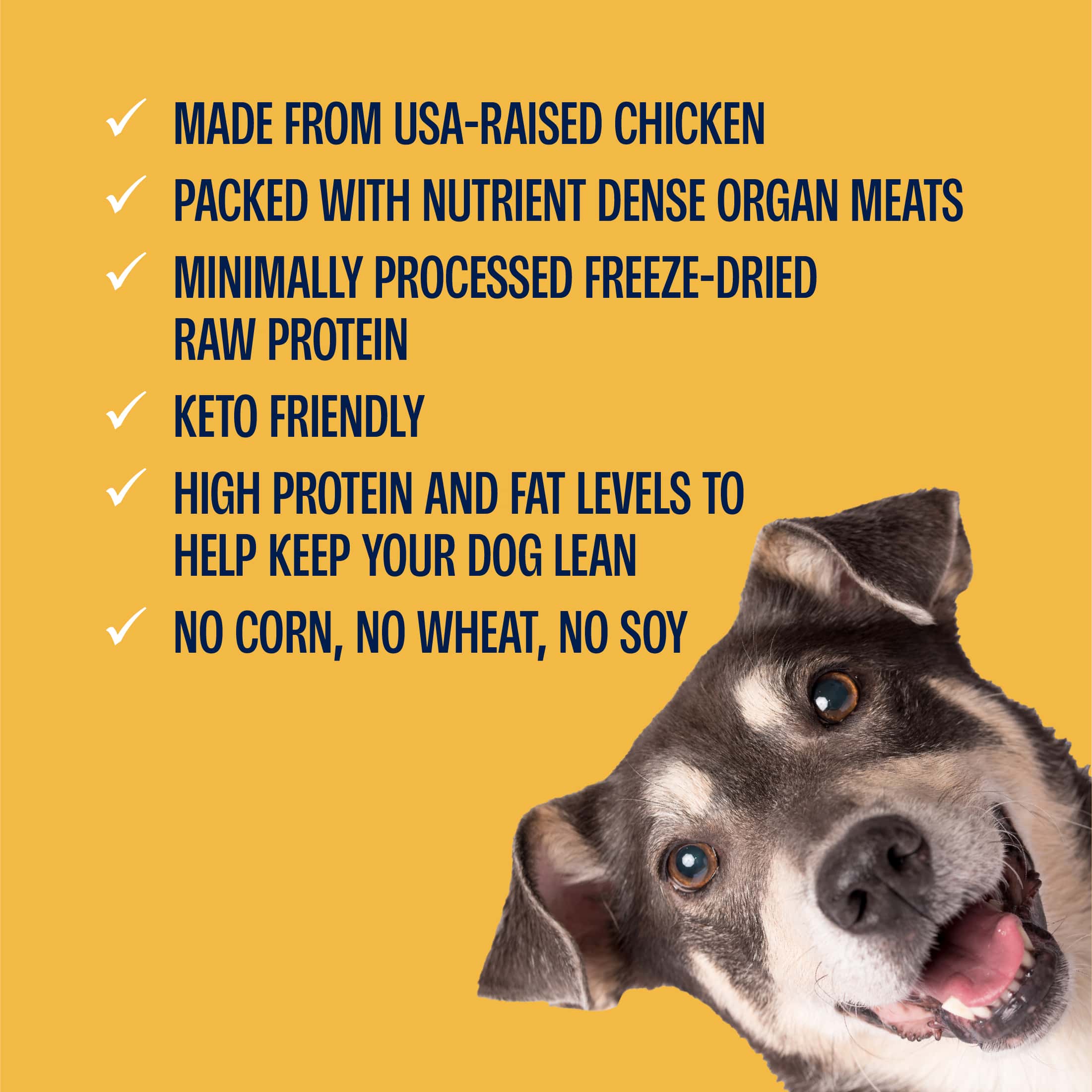 Freeze-Dried Chicken Meatballs Dog Treats