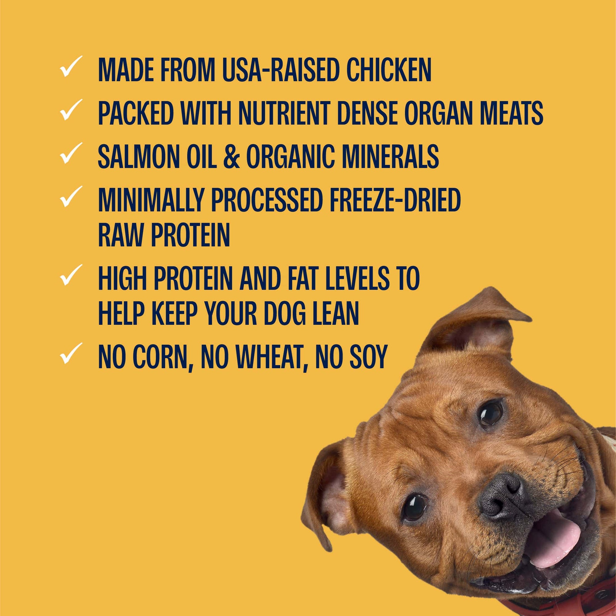 Freeze-Dried Chicken Bites Complete & Balanced Food and Treats for Dogs