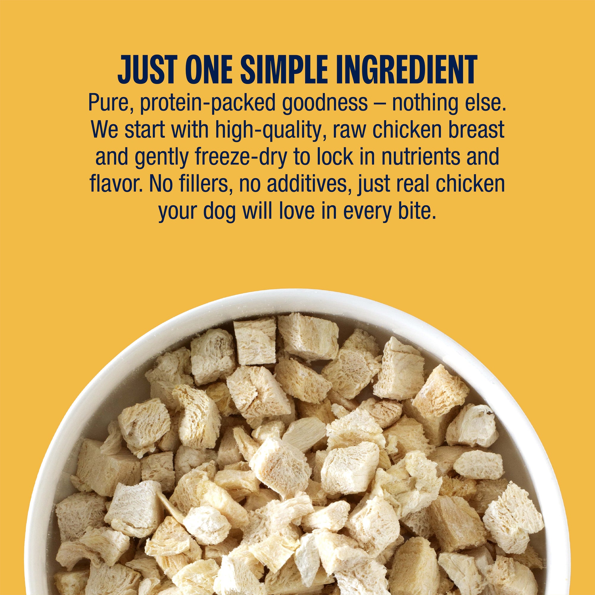 Muenster Freeze Dried dog treats one ingredient salmon
