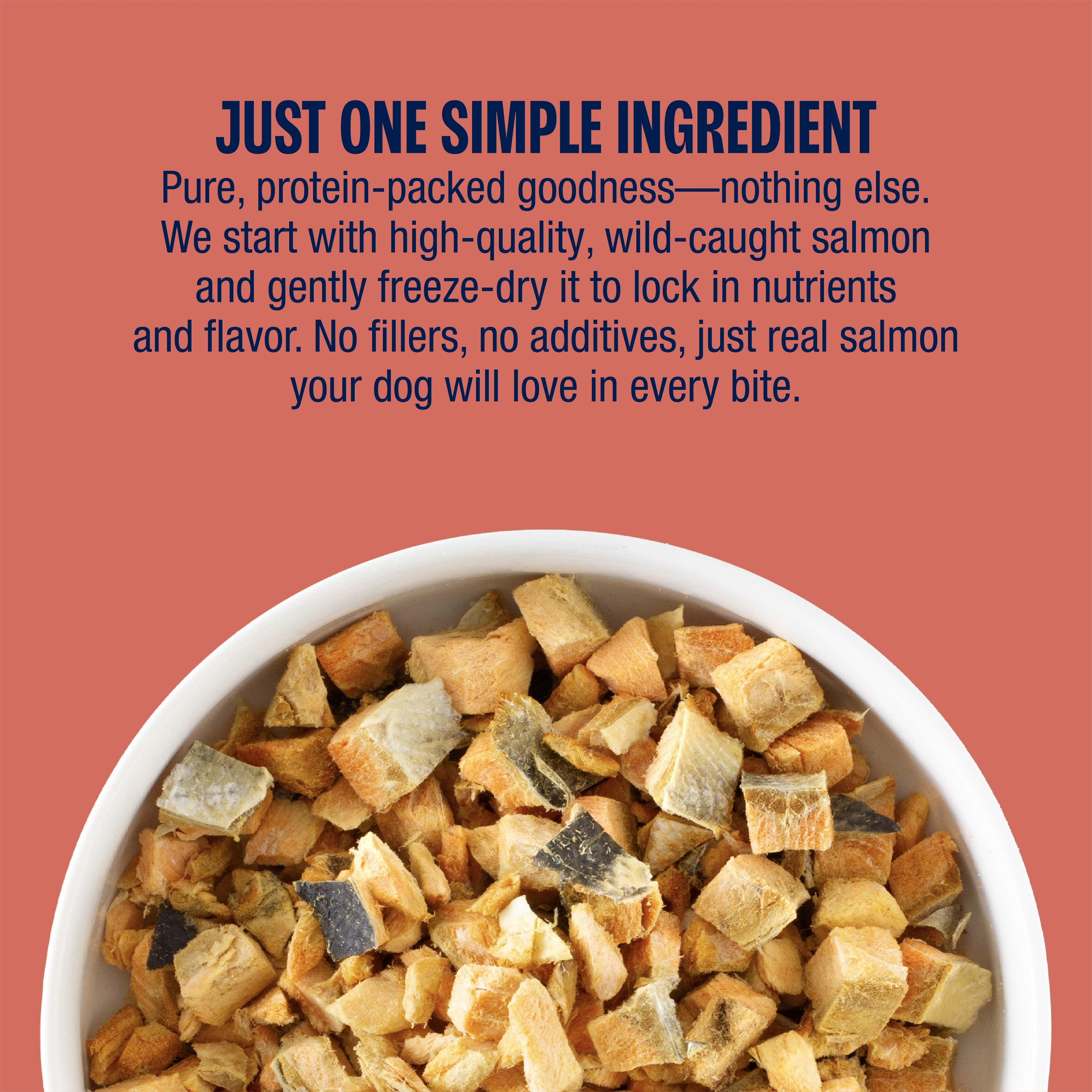 Muenster Freeze Dried dog treats one ingredient salmon