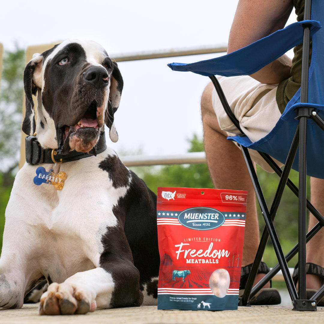 Freedom Meatballs are Barkely Approved