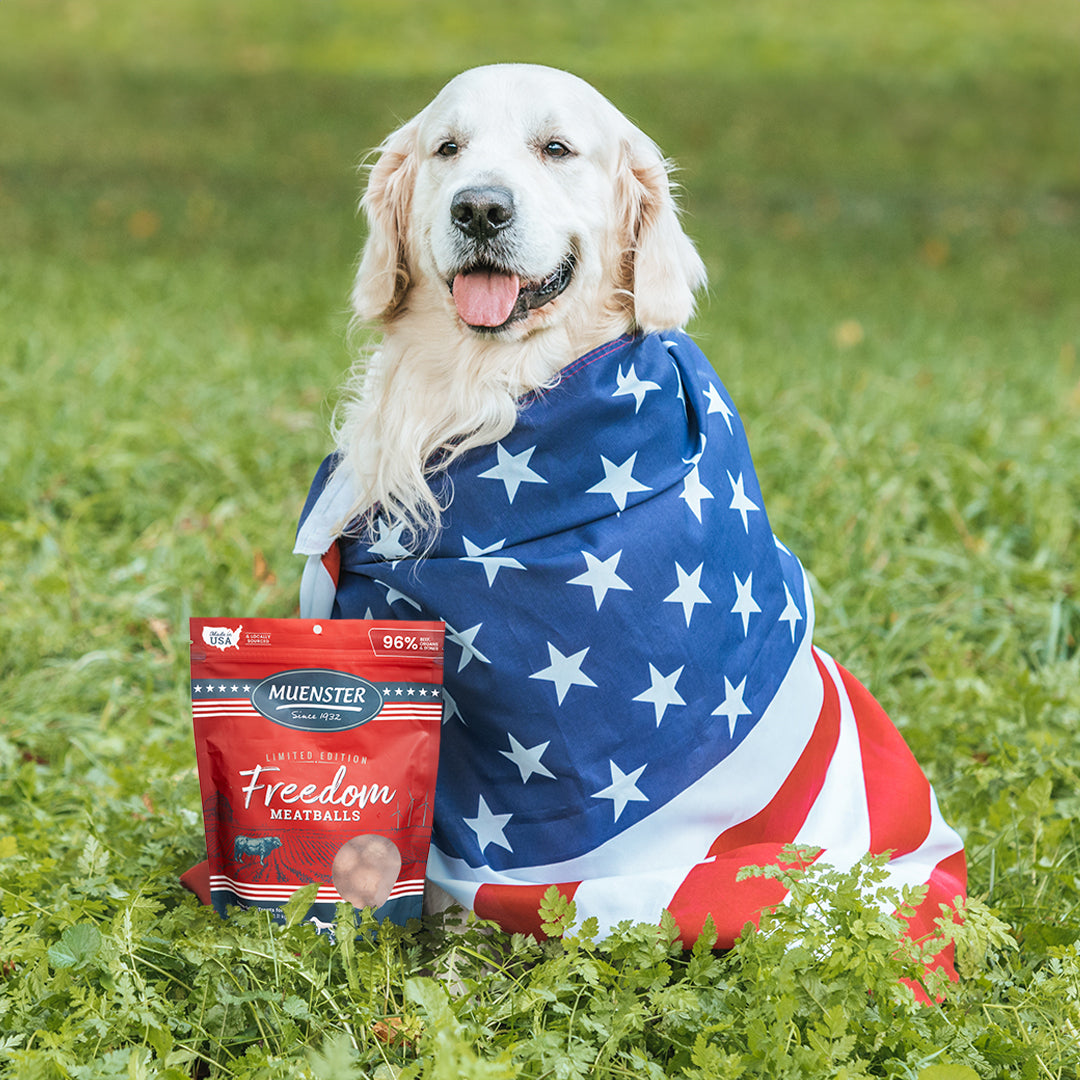 Patriotic Golden Retriever with Muenster Beef Freedom Meatballs