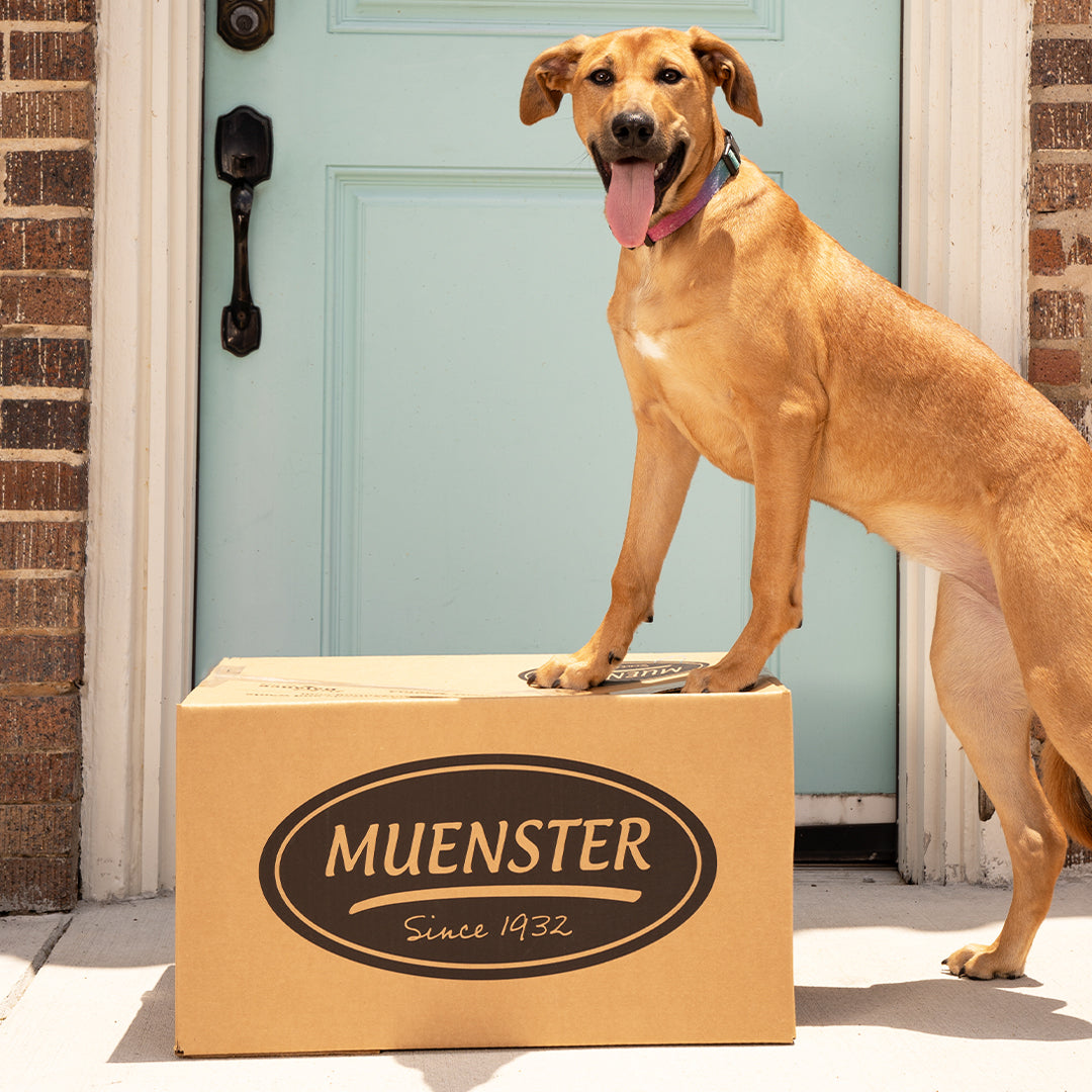 Muenster delivery